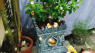 Jai Tulsi Mata Ji Pali Mahendragarh