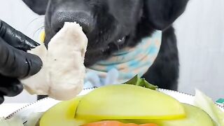 Dog eat so cute 1