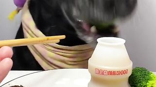 Dog eat so cute 3