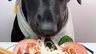 Dog eat so cute 6