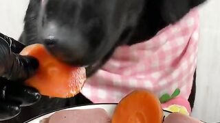 Dog eat so cute 9