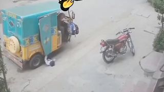 Boys will be Boys