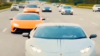 Lamborghini fans