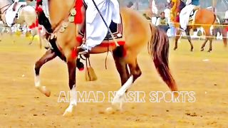 #foryou#febspotvedio #Foryoupage #trending #horselover #horse #500k #fyp #1M #impres.16 #foryou#treding#horses@vedios