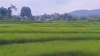 panorama alam yang menakjubkan