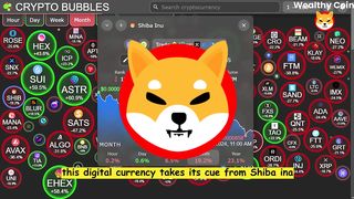 SHIBA INU COIN TO $5! ELON MUSK REVEALS WHEN SHIB WILL HIT $5! SHIBA INU COIN NEWS TODAY