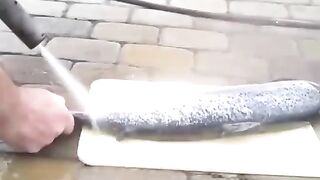 FUNNY LOL WIN