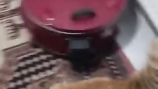 Нет, он не голодный!