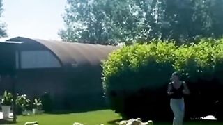Funny And Cute Animals