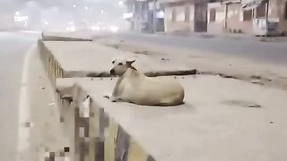 Mother is mother