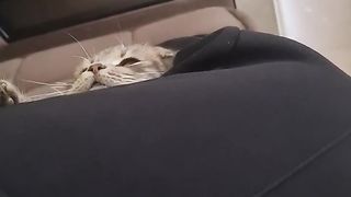 что мне делать с ней, даже не знаю