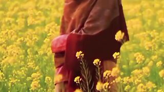 Oh_Rabba_mein_to_mar_gya_song_shahid_kapoor_sonam_kapoor_bollywood_music_reel_shoots