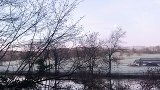 "Capturing the Beauty of the Morning Sky in Nature: A Cinematic Experience."