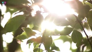 ▽ Невероятные маскировки животных