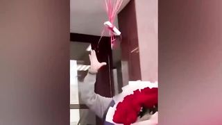 На Такое Можно Смотреть Вечно! Случаи Снятые На Камеру.