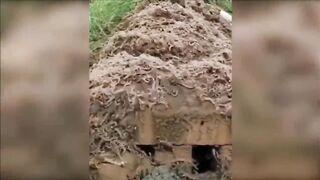 То, Что Они Сняли на Камеру Шокировало Всей Ученых