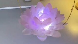 Homemade Creative Ideas