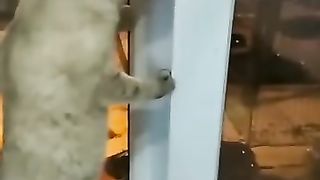 видео не моë! Автора не знаю