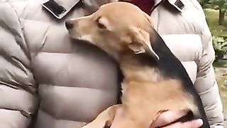 Из приюта,домой Татошка не верит своему счастью,смотрит и спрашивает,я твой