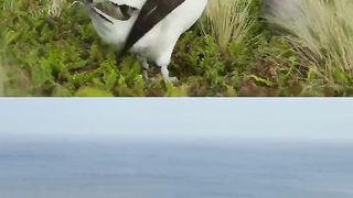 That first cup of coffee feeling ????‍♀️ #FrozenPlanet2