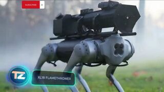 Fire gun .
