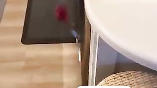 Смешное видео с собаками
