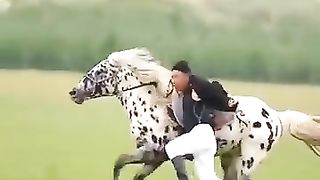Horse Race