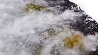 Amazing videos vol 400
