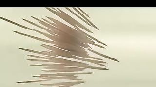 Fight between Ants