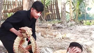 Cobra good video