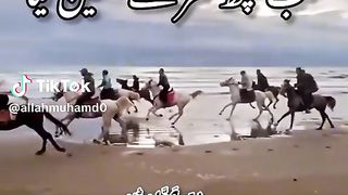 Free ???? Palestine ???????????????? free ???? Palestine