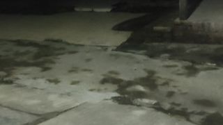 horror ghose in my home