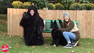 Best Of Wildlife Pranks | Just For Laughs Gags