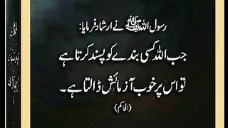 اسلامی معلومات Like share follow