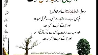 اسلامی معلومات Like share follow