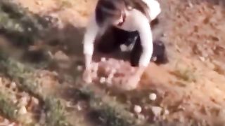 Funny anmals animals