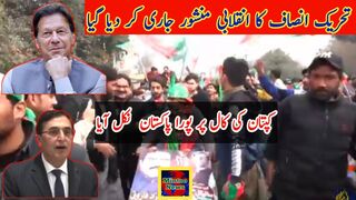 تحریک انصاف کا انقلابی منشور جاری کر دیا گیا| کپتان کی کال پر پورا پاکستان  نکل آیا