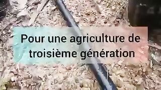 Energie solaire et l'agriculture