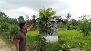 GO VIRAL!! KEEP HUNDREDS OF BIRDS IN CAGES