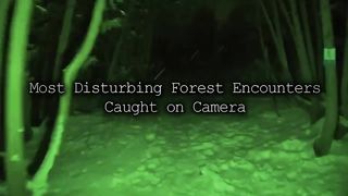 Most Disturbing Forest Encounters Caught on Camera 2023