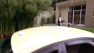 Secretario 66