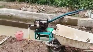 Kolam BETON bawahnya TANAH❗Rapih, bersih, tertata, dan nyaman