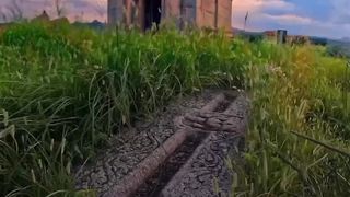 Only Nature Lovers