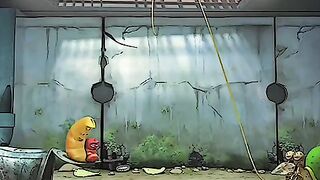 Funny video