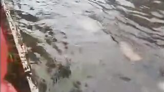 into a ditch due to flooding the road is not visible