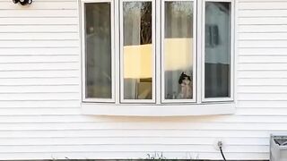 WHERE DO YOU THINK SHE WENT_ ????
