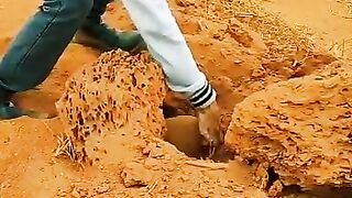 Catching an armadillo