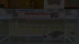 Channa maru kontes spek nerakaaaa