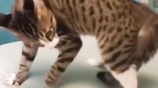 Jump Jump