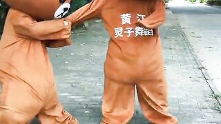 Funny video _ Funny Bear #578